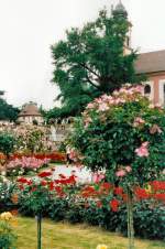 Bl�ten- und Kleinpflanzen Blumeninsel Mainau im Bodensee, Sommer 2004