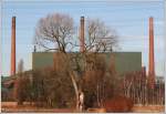 Ruhrgebiet �berlebensk�nstler im Ruhrgebiet - Das d�rfte sowohl auf den maroden Baum als auch auf diese Kokerei (Prosper in Bottrop) zutreffen. Es gibt nur noch 3 im Ruhrgebiet und dies ist die letzte Kokerei, die von der Deutschen Steinkohle AG betrieben wird. 