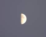 Mond Der Mond hat schon wieder kr�ftig zugenommen und pr�sentierte sich am 14.02.08 gegen 17.50 sehr klar am Himmel in Erpeldange/Wiltz (Luxemburg).