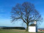 Innviertel Kapelle unterm Eichenbaum, 080217