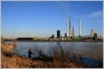 Ruhrgebiet Angeln am Rhein in Duisburg - Unsere Fototour am Binsheimer Rheinufer war vor lauter Ruten und Anglercamps ein echter Slalomlauf.