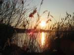 Sonnenunterg�nge Die letzten Sonnenstrahlen �ber der Kiesgrube bei Eilenburg, 24.02.08