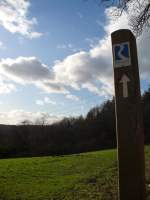Pf�lzerwald (9 Fotos)