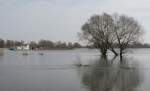 Die Oder bei Gro� ...  Konrad Feiler 08.03.2008
