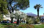 Muralto Uferpromenade am 07.04.2008 ...  Manfred M�ldner 22.04.2008