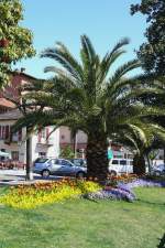 Muralto - Uferpromenade am ...  Manfred M�ldner 24.04.2008