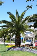 Muralto - Uferpromenade am ...  Manfred M�ldner 24.04.2008