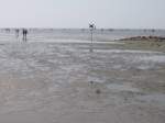 B�sum, Strand bei Ebbe, 2006   ...