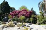 Locarno - Stadtpark am ...  Manfred M�ldner 02.05.2008