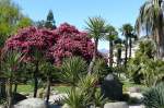 Locarno - Stadtpark am ...  Manfred M�ldner 02.05.2008