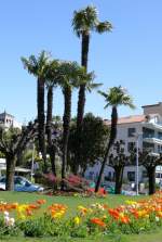 Minusio - Strandpromenade am ...  Manfred M�ldner 02.05.2008