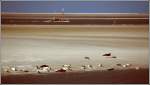 Im Wattenmeer bei Wangerooge. ...  Helmut Seger 10.02.2007