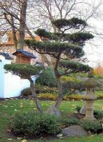Japanischer Garten in Bad ...  ERHARD BEYER 24.05.2008