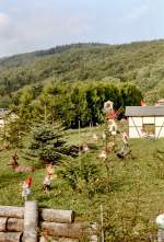 Th�ringer Wald, Rennsteig Zwergenpark Trusetal (Th�ringen)