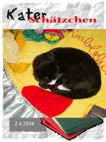 Haustiere KATER SCH�TZCHEN
2004