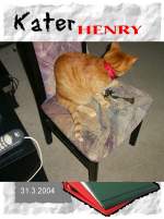 Haustiere Kater Henry
2004