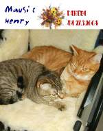 Haustiere Mausi und Henry
2004