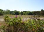 diverse Fotos Blick �ber den Soldatenfriedhof von Pillau (Baltijsk)