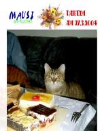 Haustiere Mausi und die Kuchenst�cke
2004