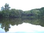 Ruhrgebiet Revierpark Wischlingen bei Dortmund - Natur pur und Gr�n, soweit das Auge reicht. Ein herrlicher Park mit m�chtigen B�umen, weiten Wiesen und einem Natur-See.