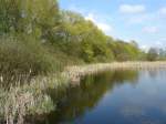 Allgemein Der 'Klare See' im Landkreis Uckermark. Malerisch gelegen, dient er zwar nicht zum Baden, aber zum Angeln. 