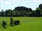 Verschiedenes Weidende Schafherde fotografiert am 04.07.08 in Pommerloch. (Jeanny) 