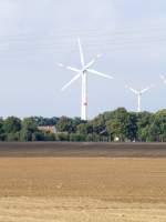 Prignitz 'Windiges Duett' am Weg nach Neu Premslin; August 2008