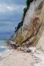 Steilk�ste auf R�gen (03.08.2008)   ...
