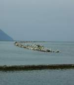 Genfer See Damit der Schilfbewuchs im Naturschutzgebiet vor Wellen gesch�tzt wird wurde dieser Steinwall angelegt.Durch das aufkommende schlechte Wetter sammeln sich die V�gel auf dem Wall.
(September 2008)