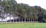 Neubrandenburg Allee bei Peetsch - 01.09.2005