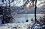 Rheinebene Wintersee bei Hesselhurst - Winter 1979