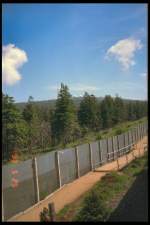 Harz Blick aus der Brockenbahn zum Brocken, dig. Dia von 1993