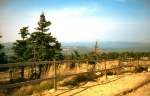Harz Blick vom Brockenrundweg, dig. Dia von 1992
