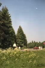 Harz Hazw�lder bei DreiAnnenHohne, dig. Dia von 1992