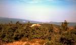 Harz Blick zum Kleinen Brocken, dig. Dia von 1992