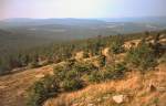 Harz Blick vom Brocken nach Niedersachsen, dig. Dia von 1992