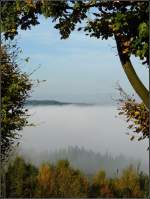 Nebel W�hrend das Tal noch im Nebel liegt, scheint auf der Anh�he in der N�he von Roullingen schon die Sonne. 18.10.08 (Jeanny)