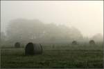 Rems-Murr-Kreis Morgennebel im Remstal. 11.10.2008 (Matthias)