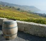 Lavaux Herbst: Die Trauben sind gelesen, aber bis der Rebsaft ins Fass kommt vergeht noch einige Zeit.
(Oktober 2008)