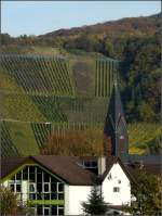 Saar Entlang der Saar wird �berall Wein angebaut und die Weinberge bieten eine sch�ne Kulisse f�r die malerischen D�rfer. 19.10.08 (Jeanny)
