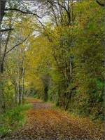 Herbst Herbstlicher Wanderweg in der N�he von Kautenbach. 18.10.08 (Jeanny)