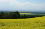 S�chsische Schweiz Dieses Bild zeigt die Landschaft in der S�chsischen Schweiz. Mitte Mai 2008 war die Landschaft von vielen Rapsfeldern gepr�gt und erhielt so ein ganz anderes Bild. Aufgenommen am 13.05.2008 nahe Rathewalde.