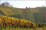 Stuttgart Immer wieder faszinierend: die Strukturen und Linien der Weinberge, gerade im Herbst. Hier am Neckartalhang bei Stuttgart-Untert�rkheim. 26.10.2008 (Matthias)