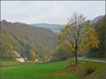 Herbst Herbstliche Landschaft mit einzelnem Baum am Stra�enrand fotografiert am 26.10.08 in der N�he von Michelau. (Jeanny)