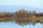 Spiegelung im Baggerloch  ...  Thomas Fischer_Lif 08.11.2008