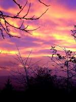 Ein par Minuten sp�ter Sonnenaufgang am 03.11.2008 in Pfarrkirchen  ...