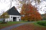 Herbstimpressionen in der N�he ...  Carry 20.11.2008