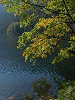 Der Schwarze See im Bhmerwald kann zu Fuss nicht auf begehbaren Wegen komplett umrundet werden, an dieser Stelle endet der Weg am sdlichen Teil.