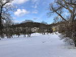 Bei Neuschnee im Kurpark am 
28. Februar 2020 in Marienbad.