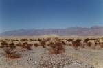 Sanddnen im Death Valley (19.03.2003)